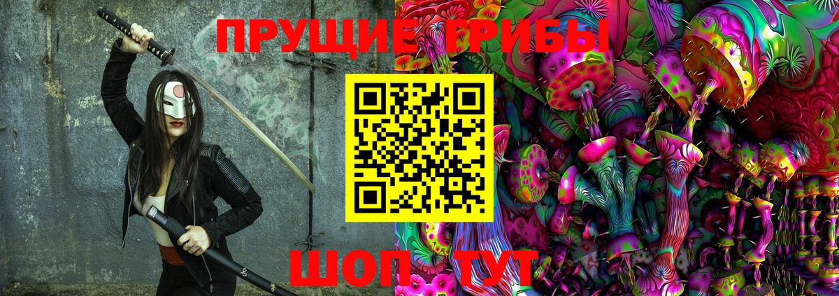 Псилоцибиновые грибы GOLDEN TEACHER Новотроицк