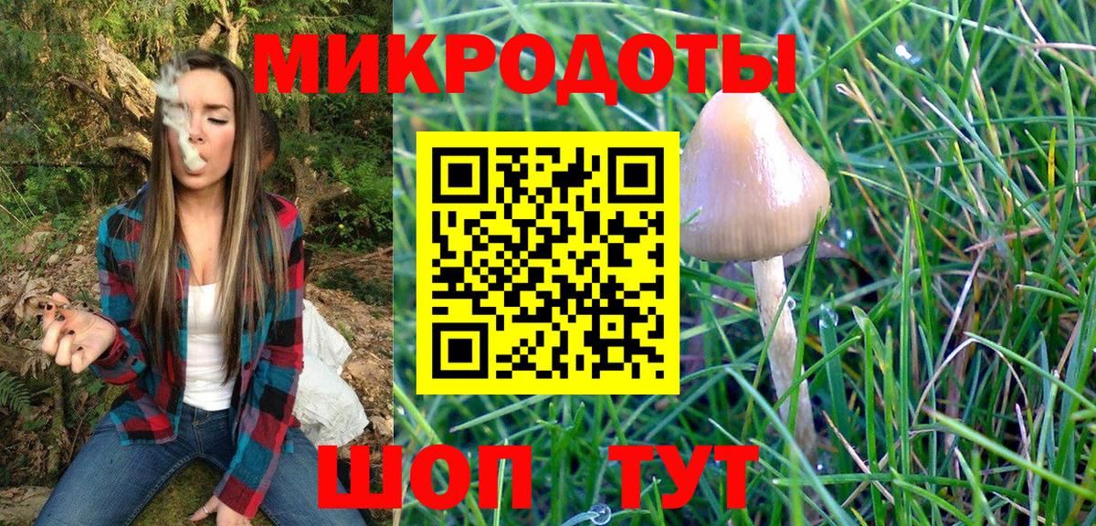 Псилоцибиновые грибы Psilocybine cubensis  Вход с VPN  Новотроицк  Галлюциногенные грибы мицелий 